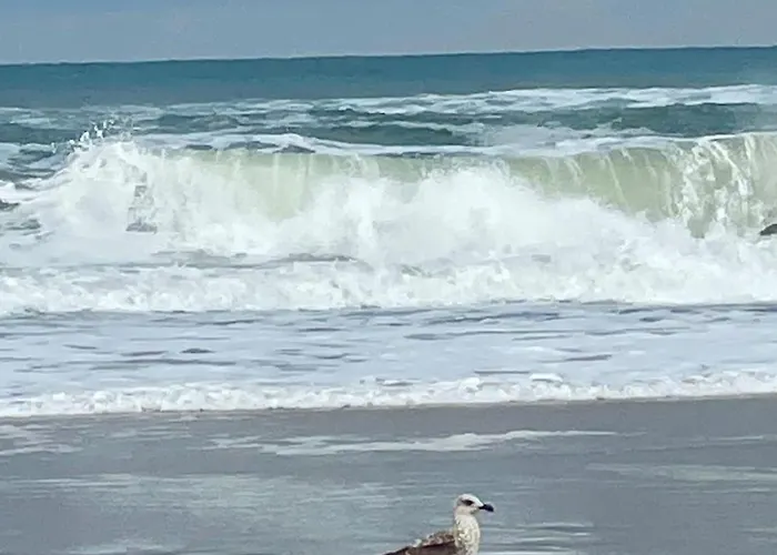 Casa Da Azenha Deluxe - Pool & Villa Silveira (Lisbon)